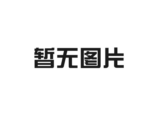 日本工程院外籍院士巨东英莅临兴邦考察交流